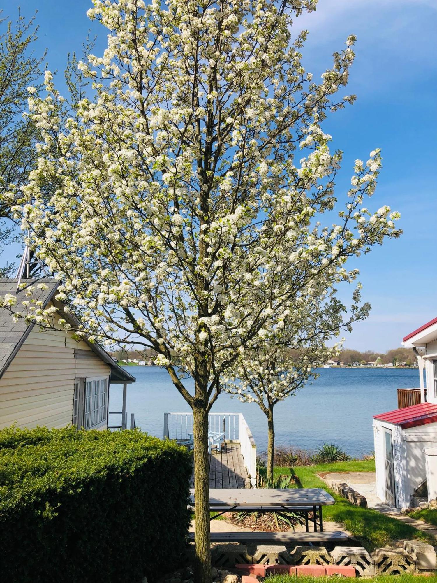 The Wellington Lake Cottage Middlebury Exterior foto