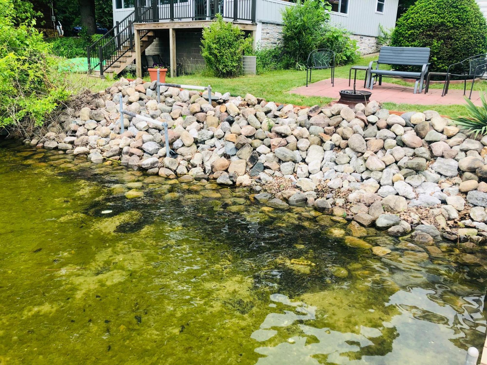 The Wellington Lake Cottage Middlebury Exterior foto